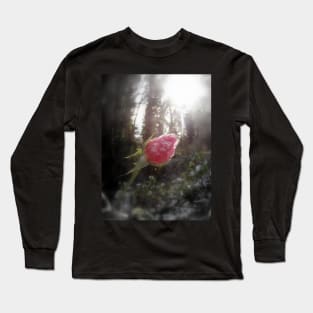 rose in the snow Long Sleeve T-Shirt